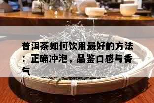 普洱茶如何饮用更好的方法：正确冲泡，品鉴口感与香气