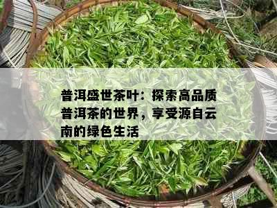 普洱盛世茶叶：探索高品质普洱茶的世界，享受源自云南的绿色生活