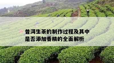 普洱生茶的制作过程及其中是否添加香精的全面解析