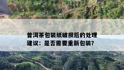 普洱茶包装纸破损后的处理建议：是否需要重新包装？