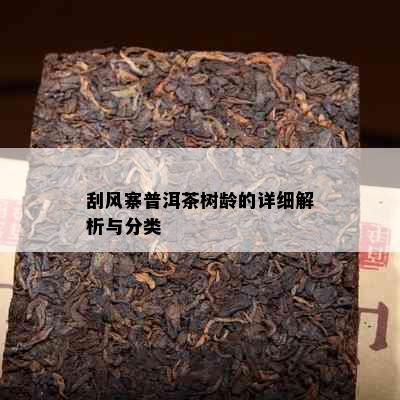 刮风寨普洱茶树龄的详细解析与分类