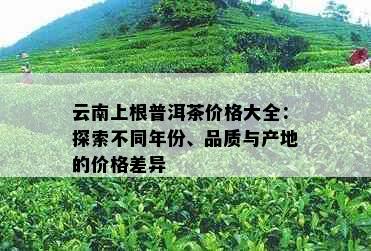 云南上根普洱茶价格大全：探索不同年份、品质与产地的价格差异