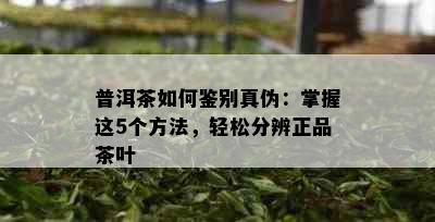 普洱茶如何鉴别真伪：掌握这5个方法，轻松分辨正品茶叶