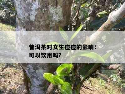 普洱茶对女生痘痘的影响：可以饮用吗？