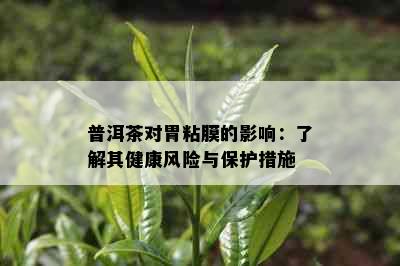 普洱茶对胃粘膜的影响：了解其健康风险与保护措施