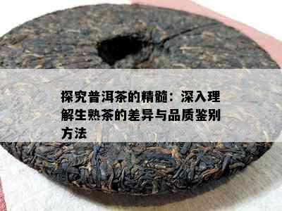 探究普洱茶的精髓：深入理解生熟茶的差异与品质鉴别方法