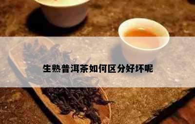 生熟普洱茶如何区分好坏呢