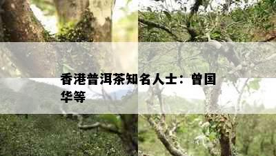 普洱茶知名人士：曾国华等