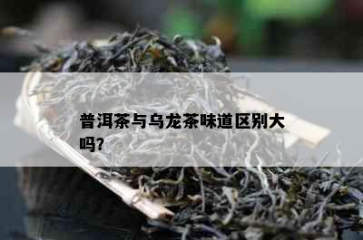 普洱茶与乌龙茶味道区别大吗？