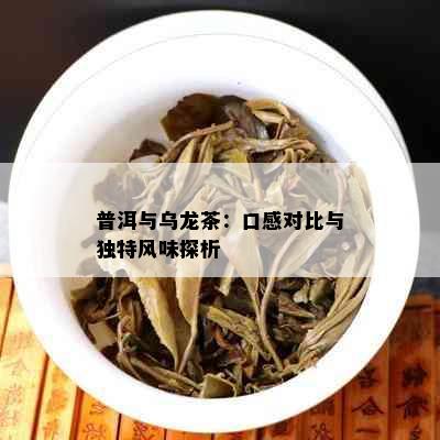 普洱与乌龙茶：口感对比与独特风味探析