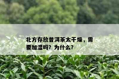 北方存放普洱茶太干燥，需要加湿吗？为什么？