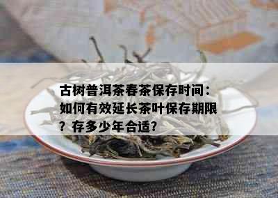 古树普洱茶春茶保存时间：如何有效延长茶叶保存期限？存多少年合适？