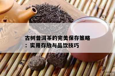 古树普洱茶的完美保存策略：实用存放与品饮技巧