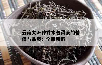 云南大叶种乔木普洱茶的价值与品质：全面解析