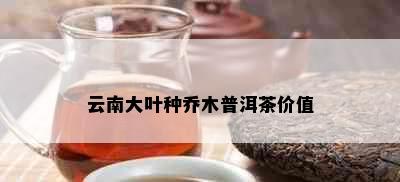 云南大叶种乔木普洱茶价值