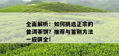 全面解析：如何挑选正宗的普洱茶饼？推荐与鉴别方法一应俱全！