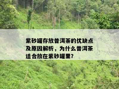 紫砂罐存放普洱茶的优缺点及原因解析，为什么普洱茶适合放在紫砂罐里？