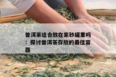 普洱茶适合放在紫砂罐里吗：探讨普洱茶存放的更佳容器