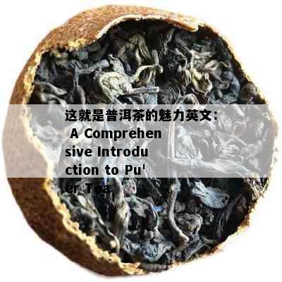 这就是普洱茶的魅力英文： A Comprehensive Introduction to Pu'er Tea