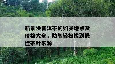 新景洪普洱茶的购买地点及价格大全，助您轻松找到更佳茶叶来源