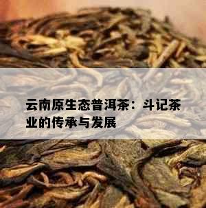 云南原生态普洱茶：斗记茶业的传承与发展