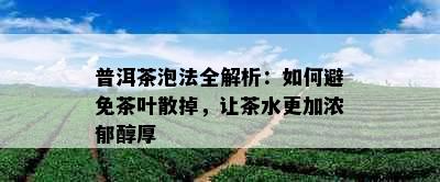 普洱茶泡法全解析：如何避免茶叶散掉，让茶水更加浓郁醇厚