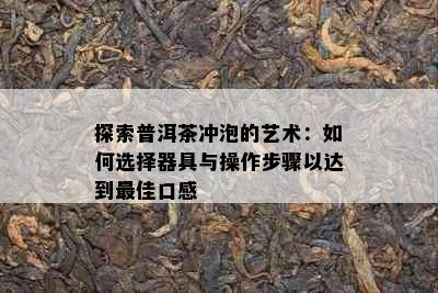 探索普洱茶冲泡的艺术：如何选择器具与操作步骤以达到更佳口感