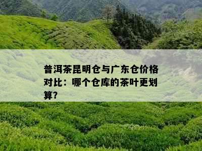 普洱茶昆明仓与广东仓价格对比：哪个仓库的茶叶更划算？