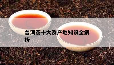 普洱茶十大及产地知识全解析