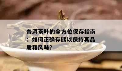 普洱茶叶的全方位保存指南：如何正确存储以保持其品质和风味？