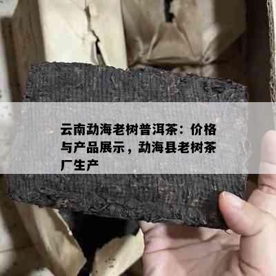 云南勐海老树普洱茶：价格与产品展示，勐海县老树茶厂生产