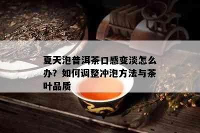 夏天泡普洱茶口感变淡怎么办？如何调整冲泡方法与茶叶品质