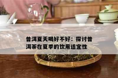 普洱夏天喝好不好：探讨普洱茶在夏季的饮用适宜性