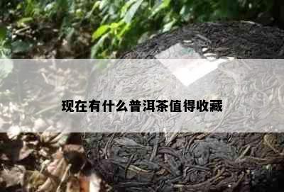 现在有什么普洱茶值得收藏