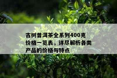 古树普洱茶全系列400克价格一览表，详尽解析各类产品的价格与特点