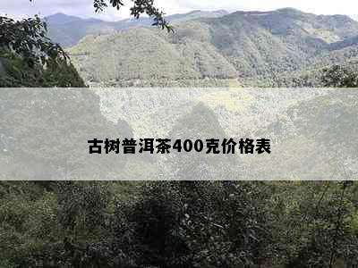 古树普洱茶400克价格表