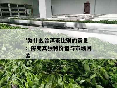 '为什么普洱茶比别的茶贵：探究其独特价值与市场因素'