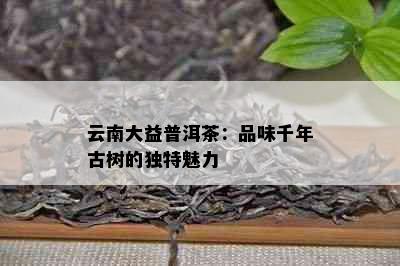 云南大益普洱茶：品味千年古树的独特魅力