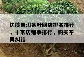 优质普洱茶叶网店排名推荐，十家店铺争排行，购买不再纠结