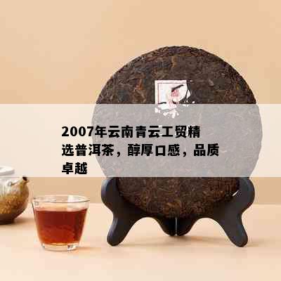 2007年云南青云工贸精选普洱茶，醇厚口感，品质卓越