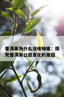 普洱茶为什么没啥味道：探究普洱茶口感变化的原因