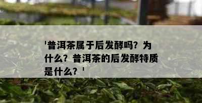 '普洱茶属于后发酵吗？为什么？普洱茶的后发酵特质是什么？'