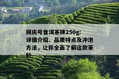 同庆号普洱茶砖250g:详细介绍、品质特点及冲泡方法，让你全面了解这款茶叶