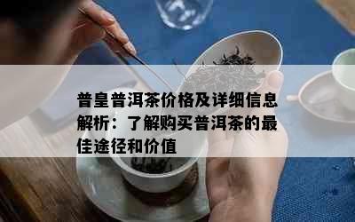 普皇普洱茶价格及详细信息解析：了解购买普洱茶的更佳途径和价值