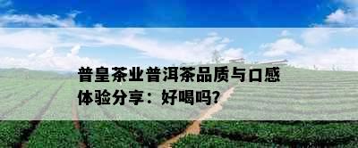 普皇茶业普洱茶品质与口感体验分享：好喝吗？