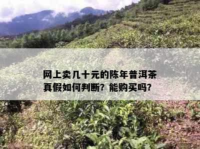 网上卖几十元的陈年普洱茶真假如何判断？能购买吗？