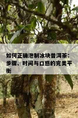 如何正确泡制冰块普洱茶：步骤、时间与口感的完美平衡