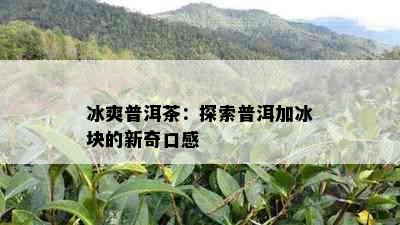 冰爽普洱茶：探索普洱加冰块的新奇口感