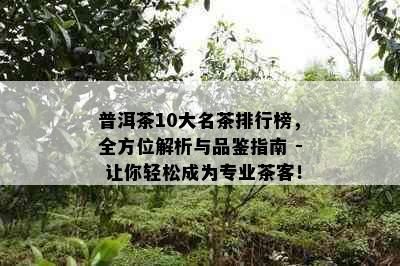 普洱茶10大名茶排行榜，全方位解析与品鉴指南 - 让你轻松成为专业茶客！