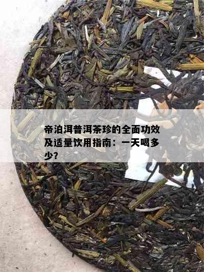 帝泊洱普洱茶珍的全面功效及适量饮用指南：一天喝多少？